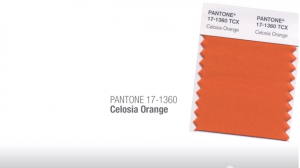 Celosia orange Tendencias de color Primavera Verano 2014 Hombre TheGoldenStyle