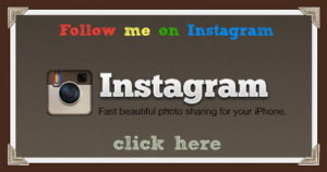 instagram-follow-me TheGoldenStyle